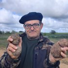 El director de la Cátedra de Micología de la UVa en el campus de Palencia, José Andrés Oria de Rueda, con unos ejemplares de turmas o trufas del desierto.