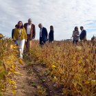 La consejera de Agricultura, Ganadería y Desarrollo Rural, María González Corral, visita los campos de ensayo de soja.