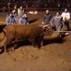 Celebración del Toro del Júbilo en la localidad soriana de Medinaceli