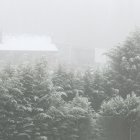 Niebla y frío en una imagen de archivo