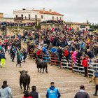 Toro del Antruejo, en Ciudad Rodrigo.