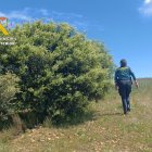 Dispositivo de búsqueda de la Guardia Ciivl en Villar de Mazarife