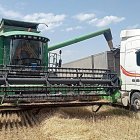 Imagen Una cosechadora en Castrillo de Duero.