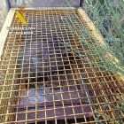 Imagen de la jaula trampa para capturar animales.