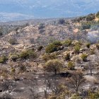 Incendio forestal en Navaluenga
