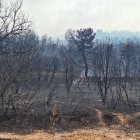 Bosques quemados tras el paso de un incendio entre las localidades leonesas de La Nora del Río y Genestacio de la Vega