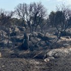 Efectos del incendio en Molezuelas.