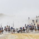 Primero de los encierros de las fiestas en honor a la Virgen del Rosario, con toros de la ganadería Araúz de Robles