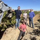 Marga Vidal y Miguel Ángel Vidal con sus hijos Daniel y Sergio en la zanja donde se crió bajo tierra el vino de la uva de la propia viña.