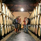 Una visita en la bodega Cuatro Pasos de la ruta de El Bierzo.