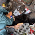 Situación de la finca en la comarca ed Alfoz (Burgos)