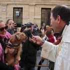 San Antón reúne a decenas de mascotas en León para la tradicional bendición de animales