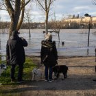 Numerosas personas se acercan a contemplar la crecida del Río Duero a su paso por Zamora