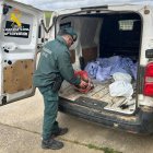 Trofeos de caza ilegales incautados por la Guardia Civil