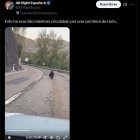 Vídeo en el que aparece un oso en una carretera de la provincia de León criticado por la Junta de Castilla y León.