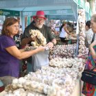 Inauguración de la feria del ajo en Zamora.