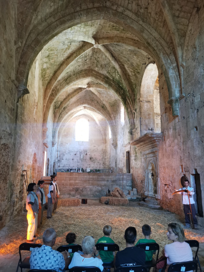 Festival Vive Rioseco