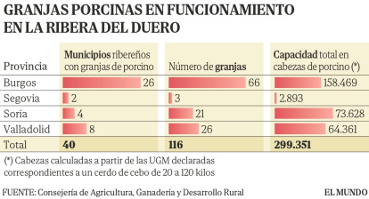 Granjas porcinas en funcionamiento en la Ribera del Duero.