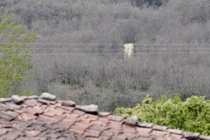 Un hombre se entrega en la Guardia Civil de Armunia y asegura haber matado a otro en Sorribos de Alba (León)