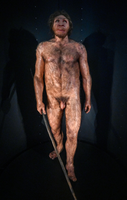 «Miguelón», reproducción de la figura a partir del cráneo de un varón encontrado en el yacimiento de la Sima de los Huesos
