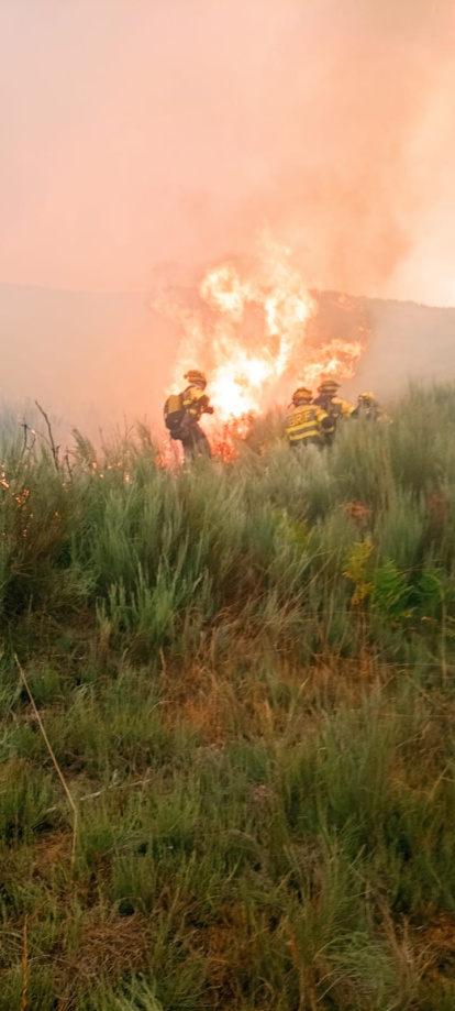 Bomberos forestales BRIF de Tabuyo del Monte en el incendio de Barniedo de la Reina
