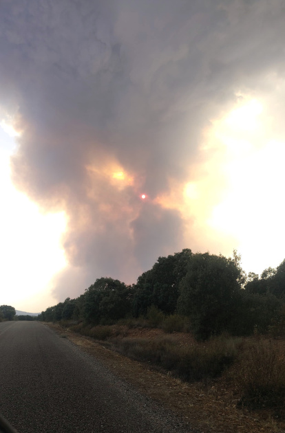 Efectos del incendio de Molezuelas.