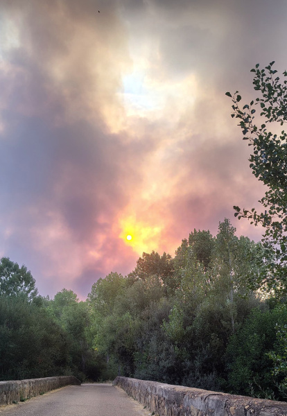Efectos del incendio de Molezuelas.