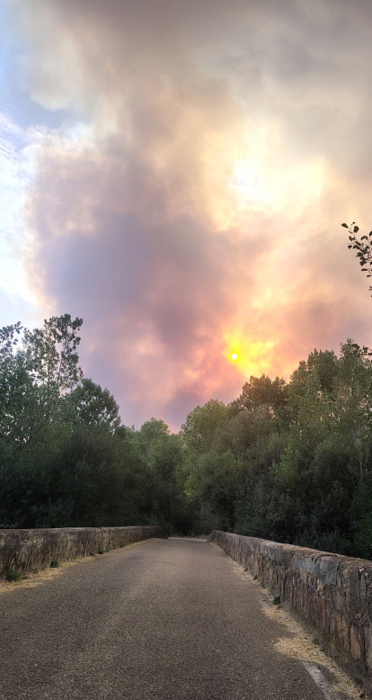 Efectos del incendio de Molezuelas.