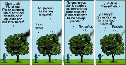 Rodera 15 de julio
