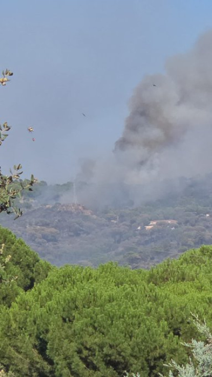 Incendio de Burgohondo