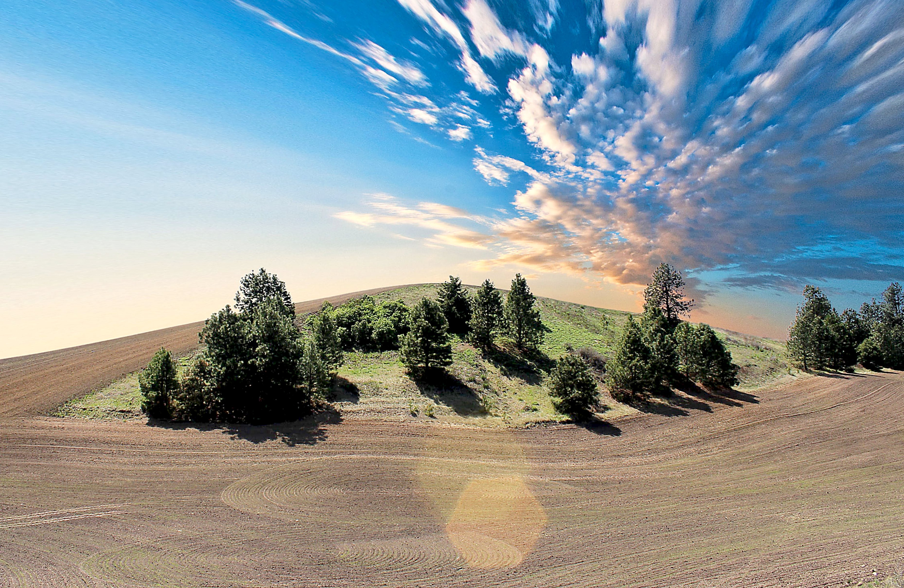 Campo de cultivo junto a tierra de monte. Se excluye del cambio de uso a las pendientes de más del 15%.